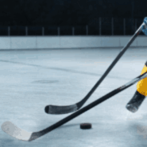 Group logo of Hockey Community Highlights